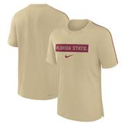 Florida State Nike Dri-Fit Team Issue Player Top